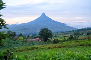 Fototapeta premium Serene landscape featuring a majestic, pointed mountain rising above lush green fields and a small village