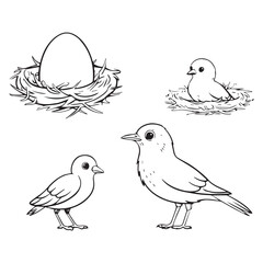 Black and white line drawing of birds and nests with egg and chick art  vector illustration