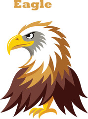 Obraz premium american bald eagle