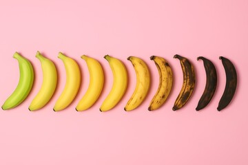 Ten bananas arranged in a row showing stages of ripeness from green to overripe on a pink background. A visual metaphor of time, aging, and sensuality.