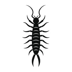 scorpion isolated on white background