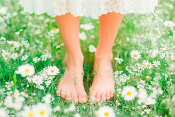 Green grass female legs. Female legs  and fresh flower.A photo of a person's feet resting on the grass. A person walking barefoot on grass, highlighting the sensory connection with earth.