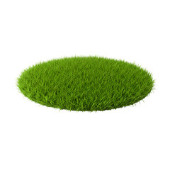 Lush Green Grass Patch Texture Image on transparent background