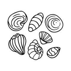 seashell collection icon, seashell collection line art - simple line art of seashell collection, perfect for seashell collection logos and icons