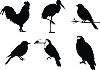 Silhouette illustration featuring six distinct bird species, including a rooster, stork, perched bird, ground bird, toucan with a large beak, and a standing parrot, symbolizing avian diversity