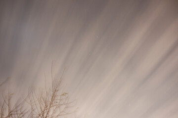 Dreamy Evening Sky with Silhouetted Tree Limbs and Soft Clouds