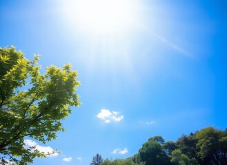 Obraz premium Bright Sunny Day with Lush Greenery ,