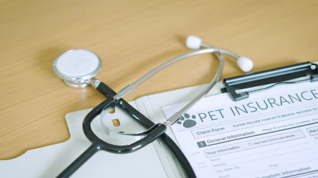 Pet Insurance Owner Puppy Safety Policy Animal Concept