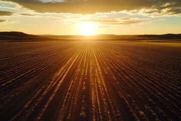Golden sunset over a plowed field