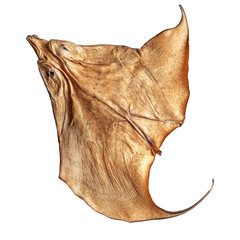 Dried stingray fish displayed against a clean transparent background for culinary or decorative purposes, Dried Stingray fish isolated on transparent background