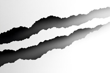 Ripped paper, two parallel tears