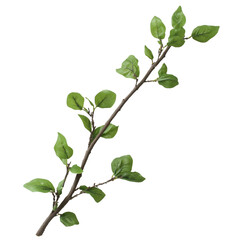 Obraz premium Twig with fresh green leaves on a transparent background showcasing natures simplicity, Twig with green leaves on transparent backgroundfile