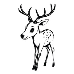 Dik dik animal silhouette black vector art design on white background