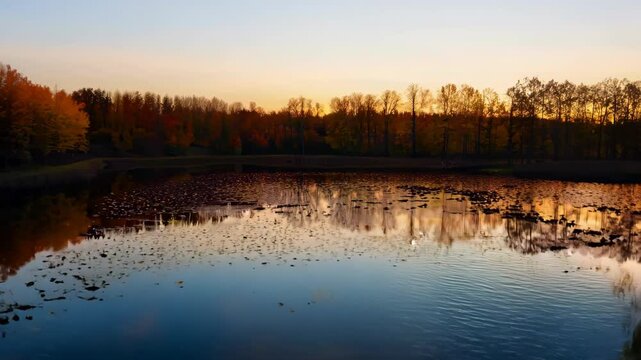 Tranquil Lakeside Sunset: A Serene Autumn View with Reflection and Willow Trees