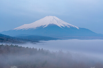 Fototapeta premium 山中湖パノラマ台から雲海に浮かぶ富士山