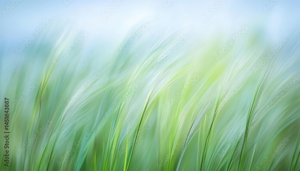 Aufkleber abstract wheat field in gentle breeze with soft focus a serene landscape of green and gold with sunl