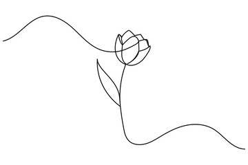 Obraz premium Tulip flower continuous one line drawing and minimalist style isolate outline vector icon