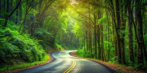 Obraz premium Winding forest road through dense foliage, forest, nature, forest, nature, tranquility, greenery