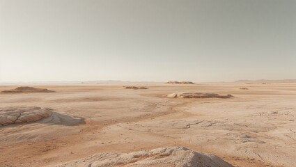 Vast, pale desert expanse under a pale sky.
