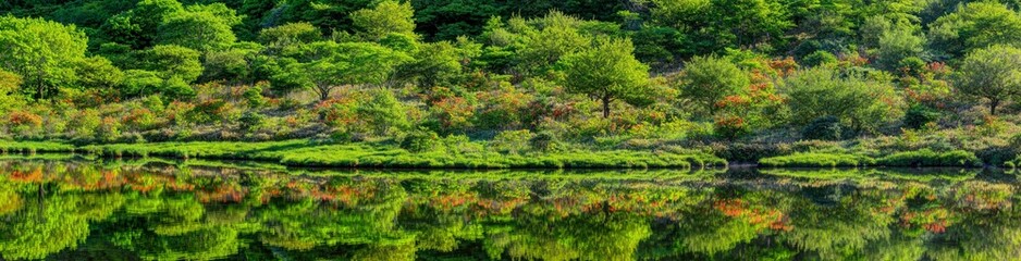 レンゲツツジ咲く新緑の覚満淵（パノラマ）