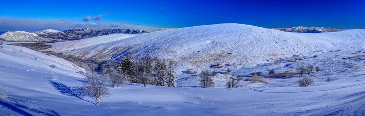 車山湿原の霧氷（パノラマ）