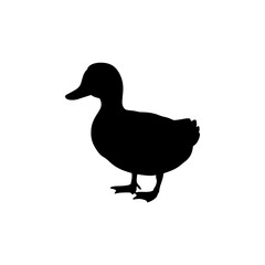 Black Bold duck silhouette vector illustration on white background