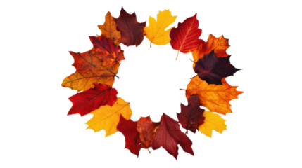 Colorful Autumn Leaves in a Circular Wreath Shape on Transparent Background