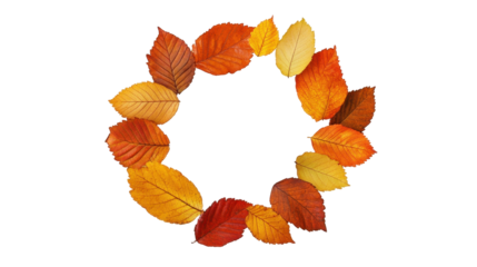 Decorative Wreath of Colorful Autumn Leaves on Transparent Background