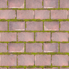 Weeds growing between the cracks of the paving stones and bricks wall Seamless