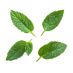 Naklejka premium Fresh peppermint leaves isolated on a clean surface, showcasing their vibrant green color and lively texture, Peppermint leaves isolated