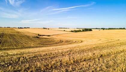 Fototapeta premium Harvesting wheat fields in rural landscape agricultural photography open sky bright daylight aerial view nature's beauty