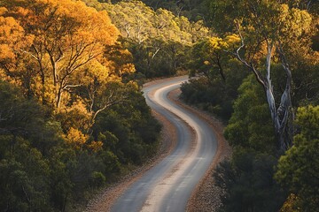 A Scenic Road Covered in Autumn Leaves Winding Through Nature