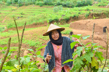 Indonesian female farmer wearing traditional clothing of ancient Javanese ethnicity