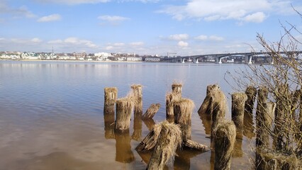 Wide Russian Volga River. View of city and automobile bridge. Rotten wooden piles from the old pier. Kostroma, Russia, April 18, 2025