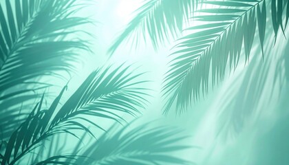 Obraz premium Tranquil nature scene tropical forest palm fronds misty atmosphere close-up view serenity and calmness