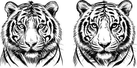 Realistic Hand-Drawn Tiger Face Sketch – Black and White Front View Illustration