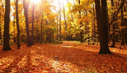 Obraz premium Autumn walk enchanted forest nature scene golden leaves serene environment warm sunlight