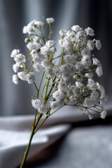 A delicate baby's breath bouquet serene and minimalistic composition.