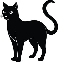 Obraz premium Black and white cat.