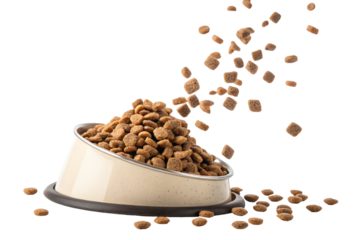 A brown closeup of dry coffee beans fills a white bowl and cup, an isolated ingredient for a caffeine drink