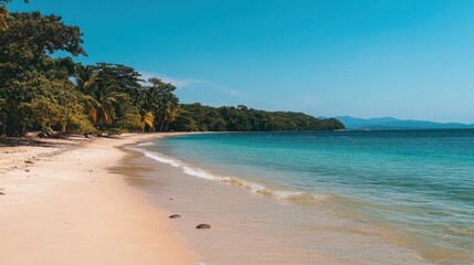Tropical beach with white sand and clear blue water under bright blue sky. Ideal for travel, vacation, and leisure advertisements or promotional materials.