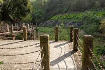 Shenzhen International Garden and Flower Expo Park in Shenzhen, China.
