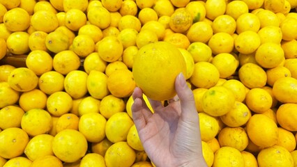 Hand holding lemon 