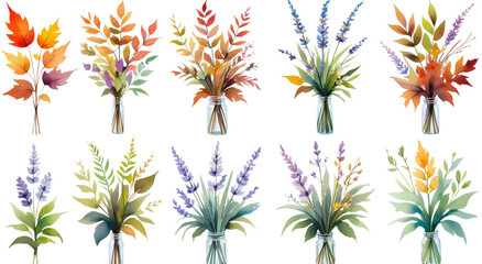 Fototapeta premium collection of flowers