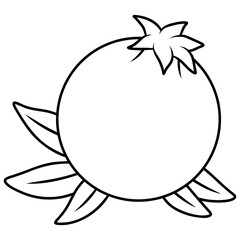 pomegranate fruit vector icon