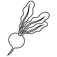 radish plant vector icon