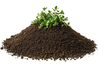 Small pile of soil with a green sprout isolated