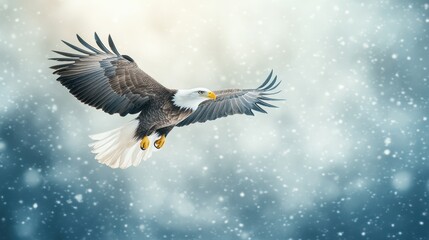 Obraz premium A striking white-tailed eagle gracefully in flight amidst a gentle snowfall, highlighting its majestic wingspan against a wintry backdrop of swirling snowflakes and a serene, snow-covered landscape.