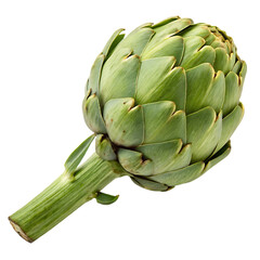 Artichoke isolated on a transparent background