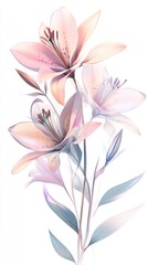 Delicate pastel lilies in a floral arrangement.